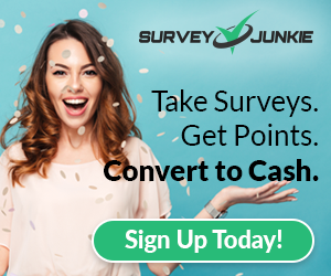 Surveys For Cash Survey Junkie